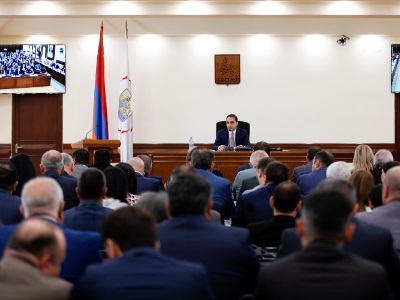 «Էդքան տեխհսկողի դարդը մի լացեք». Ավինյանը հորդորեց արագացնել մեկ անձից գնումներ կատարելը