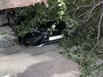 В Эчмиадзине дерево упало на машину: потерпевших нет