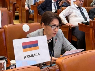 Депутат от блока «Армения» призвала ПА ОБСЕ осудить упадок демократии в стране