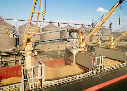 Turkey hopes for resumption of grain deal