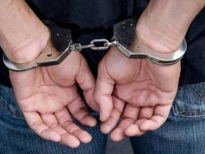 В Армении задержали мужчин, совершивших хулиганство в отношении иностранцев