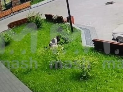Նովոսիբիրսկում 22-ամյա աղջիկը ընկել է 13-րդ հարկի պատուհանից եւ ողջ է մնացել
