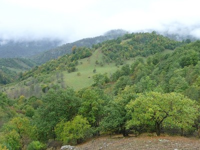 Կառավարությունը հաստատեց Շրջակա միջավայրի վրա ազդեցության գնահատման կարգը