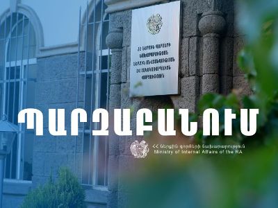 В МВД отрицают: Арман Ерицян не был избит, его не оскорбляли