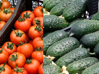 С понедельника будет снят запрет на ввоз сельхозпродукции в Россию для одной из армянских компаний