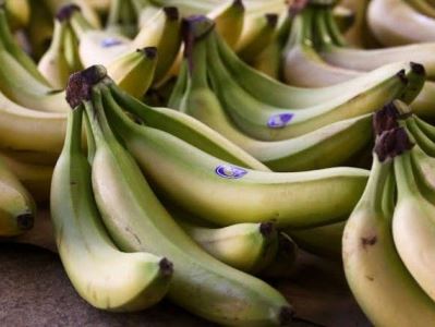 More than €1M worth of cocaine hidden in banana cargo seized in Greece
