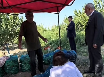 «Օրական 4 տոննա «Սիթի» ա գնում». Արարատի բնակիչը՝ Փաշինյանին