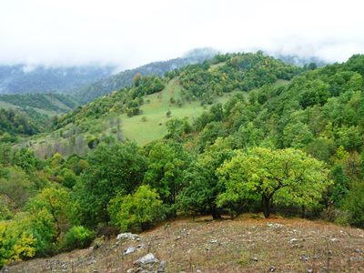 Օգոստոսին շրջակա միջավայրին պատճառվել է ավելի քան 60 մլն դրամի վնաս. Տեսչական մարմին