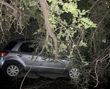 Շենքի բակում ծառը տապալվել է և վնասել «Nissan» ու «Suzuki» ավտոմեքենաները. ճանապարհը փակվել է