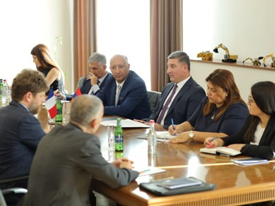 Саносян и Девиназ обсудили вопросы сотрудничества