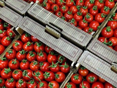 Доходы от экспорта томатов из Армении снизились наполовину
