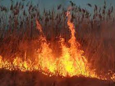 2 killed in Greece wildfire