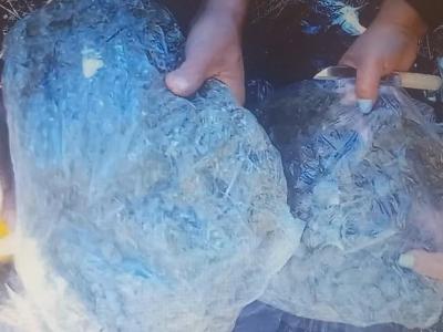 Двое жителей Еревана попались на контрабанде 14 кг наркотиков