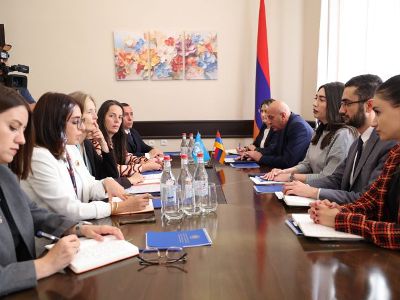 Հայաստանի ՆԳՆ ոլորտային բարեփոխումները կարող են ծառայել որպես միջազգային օրինակելի փորձ. Ֆլորենս Բաուեր
