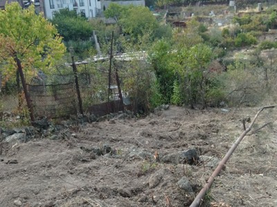 Նոր Նորքում Վիտալի Բալասանյանի կողմից այգին վնասելու համար  կիրառվել են պատասխանատվության միջոցներ. ԲԸՏՄ