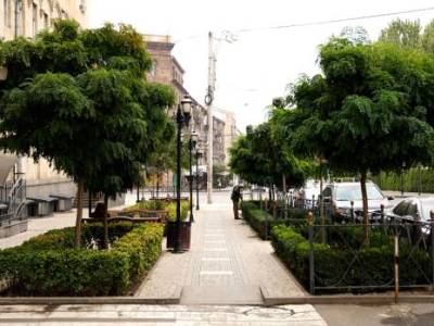 Ալեք Մանուկյան փողոցում, որտեղ ամիսներ առաջ հեռացվեցին հարյուրամյա ծառերը, մշտադալար թփեր են տնկվում (վիդեո)