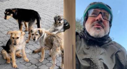 Hraparak.am: Велопробег Никола Пашиняна в Гюмри был прерван из-за нападения собак