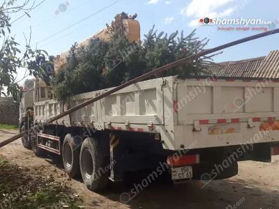 Կոտայքում հսկայական եղևնիով բարձված բեռնատարը բախվել է գազախողովակներին ու գազասյուներին