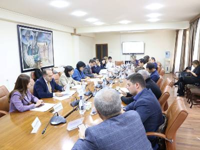 ՓՄՁ զարգացման ենթախորհրդի նիստին քննարկվել են ստուգումների մասին օրենքի փոփոխությունները