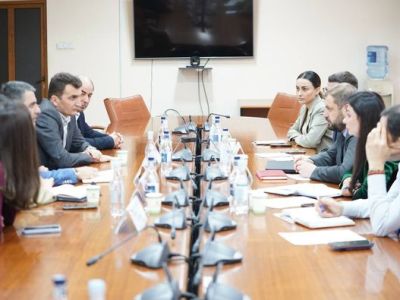 Министр экономики Армении и представители алмазообрабатывающей отрасли обсудили вопрос расширения сотрудничества