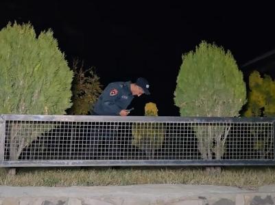 Սպանություն Նոր Խարբերդի գերեզմանատանը. պարզվել են 17-ամյա պատանուն կյանքից զրկելու հանգամանքները. Կա կալանավորված անձ