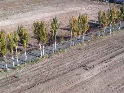 Երևանն ընդլայնված ու ժամանակակից նոր տնկարան ունի. քաղաքապետարան