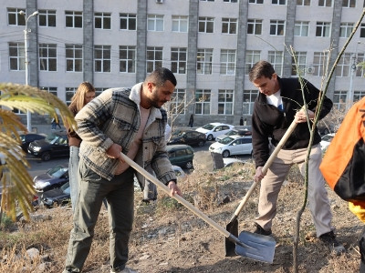 Աբովյան պուրակի դիմացի՝ Սարալանջի հատվածում ծառատունկ է կազմակերպվել
