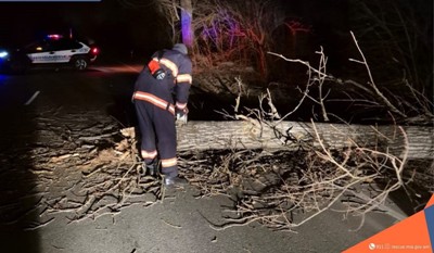 Сильный ветер в Лори и Гегаркунике повредил электрические провода и повалил деревья