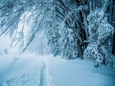 Heavy snowfall claims at least 4 lives in northern India
