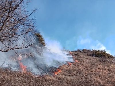 Пожар в горах Армении потушен