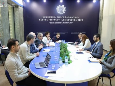 ՆԳ փոխնախարարն ու ընտրական հարցերով միջազգային փորձագետը քննարկել են համապետական ընտրությունների անցկացման հարցեր