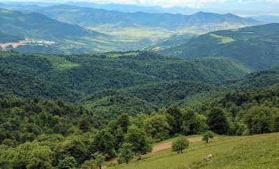 «Փաստ». Ինչո՞ւ է թիրախավորվել հենց Նոյեմբերյանի անտառտնտեսությունը