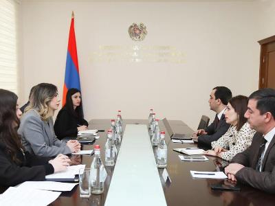 Սրբուհի Գալյանն Անահիտ Ավանեսյանի հետ քննարկել է ազատազրկվածներին առնչվող առողջապահական հրատապ խնդիրները