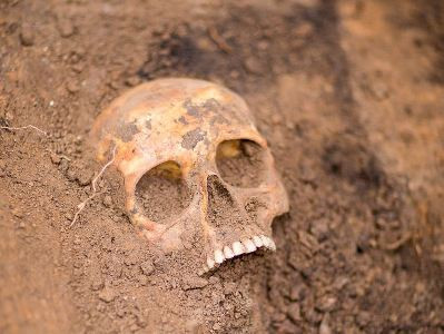 В подвале здания на улице Абовяна в Ереване обнаружен человеческий череп