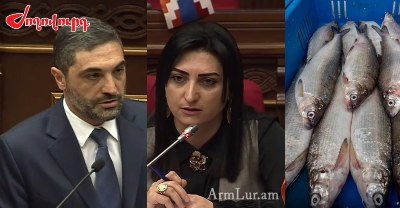 «Ժողովուրդ». Որքանո՞վ կթանկանա Սևանի սիգը. նոր հարկատեսակ ձկնորսների համար