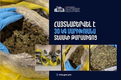 Правоохранительные органы Армении изъяли из незаконного оборота около 30 кг марихуаны