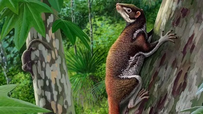 Armenian anthropologist from Yale University reveals secret of humans’ ‘relative’ that lived 62 million years ago