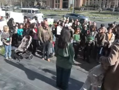 В Ереване проходит акция протеста с требованием остановить массовую вырубку деревьев