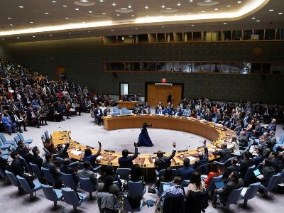 France, Mexico welcome Armenia's decision to limit veto power in UN Security Council