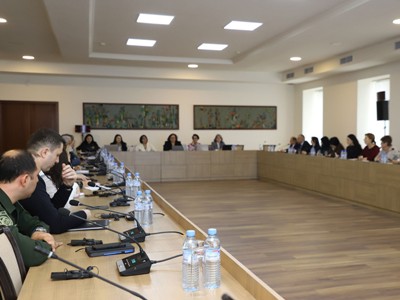 ԵԽ փորձագետների հետ քննարկվել են մարդկանց թրաֆիքինգի դեմ պայքարի ոլորտում ՀՀ առաջնահերթությունները
