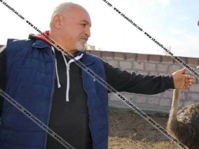 Մասիսում գտնվող ջայլամաբուծական ֆերմայում կրակnց է հնչել. Ֆերմայի սեփականատիրոջ վիճակը ծայրահեղ ծանր է