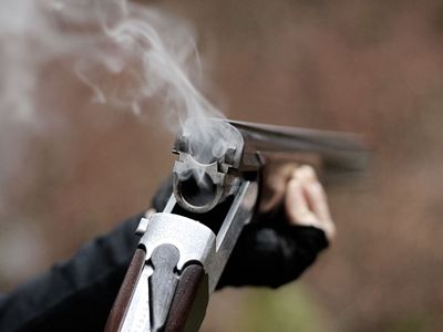 Колдун из Зеленограда пытался застрелить тещу и назвал себя Императором России