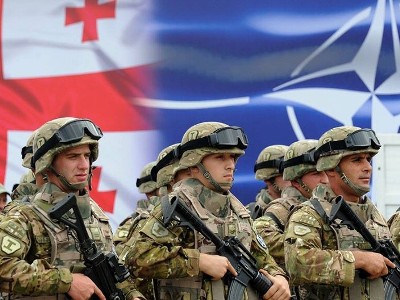 Учения НАТО-Грузия 2025 проходят в Совместном центре тренировок и оценок НАТО-Грузия