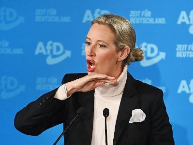 AfD-ն մտադիր է պաշտպանվել զրպարտությունից իրավական միջոցներով