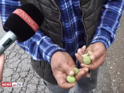 «Վաճառքի ոչ մի բան չի մնացել». Արտաշատի գյուղերում կարկուտն ամբողջ բերքը վնասել է
