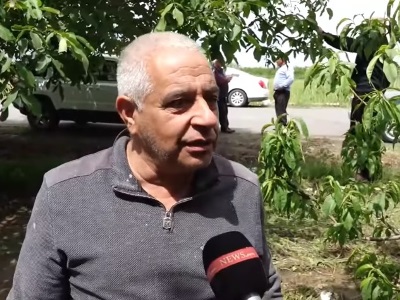 Ոչ մի բան էլ չեն փոխհատուցելու, էս կառավարությունից ակնկալիք չունեմ. կարկուտից տուժած գյուղացի