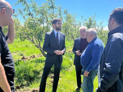 Փոխնախարարը կարկուտից տուժած Արգինա համայնքում խոսել է Ինտենսիվ այգեգործության ծրագրի մասին