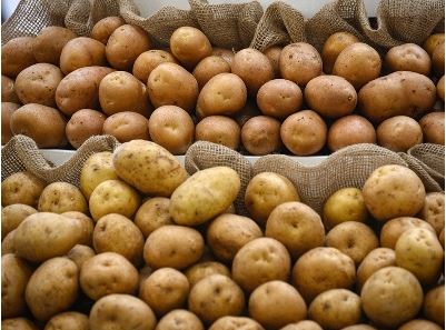 Экспорт картофеля из Армении в Россию взлетел: Поставки увеличились в 10 раз
