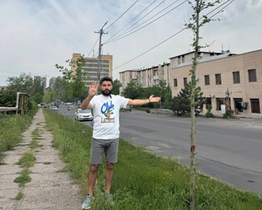 Միկոյան փողոցում տնկված «բարձրարժեք, թանկարժեք» 26 սոսիներից 13-ը չորացել են, ևս 3-ը «մահամերձ են». ակտիվիստ