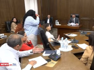 Սեյրան Օհանյանը նշել է՝ ԱԺ նախագահի «հակապետական» հայտարարությունների պատճառով իր հետ գործուղման չենք մեկնի. Մինասյան